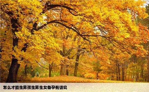 怎么才能生男孩生男生女备孕有讲究