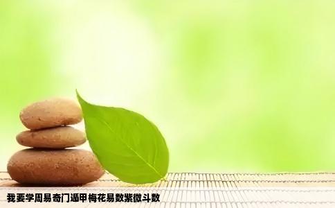 我要学周易奇门遁甲梅花易数紫微斗数