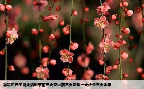 算命的先生说我清明节前三天交运前三天是指一天还是三天呢求