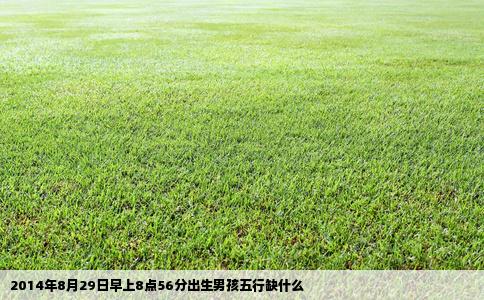 2014年8月29日早上8点56分出生男孩五行缺什么