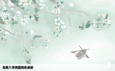 生辰八字测算姓名谢谢