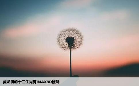 成龙演的十二生肖有IMAX3D版吗