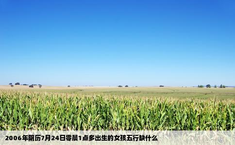 2006年阴历7月24日零晨1点多出生的女孩五行缺什么