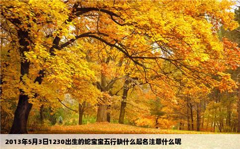 2013年5月3日1230出生的蛇宝宝五行缺什么起名注意什么呢