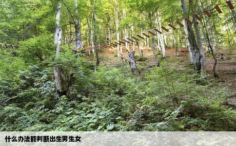 什么办法能判断出生男生女