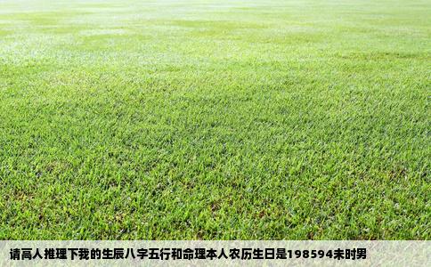 请高人推理下我的生辰八字五行和命理本人农历生日是198594未时男