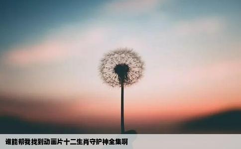 谁能帮我找到动画片十二生肖守护神全集啊