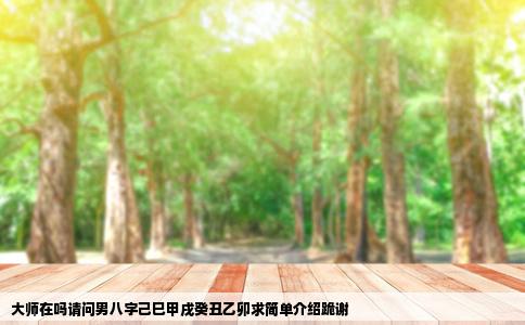 大师在吗请问男八字己巳甲戌癸丑乙卯求简单介绍跪谢