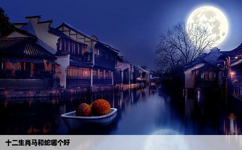 十二生肖马和蛇哪个好