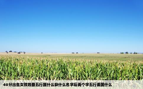 40分出生女孩姓蔡五行属什么缺什么名字后两个字五行要属什么