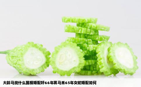大龄马找什么属相婚配好66年男马禾65年女蛇婚配如何