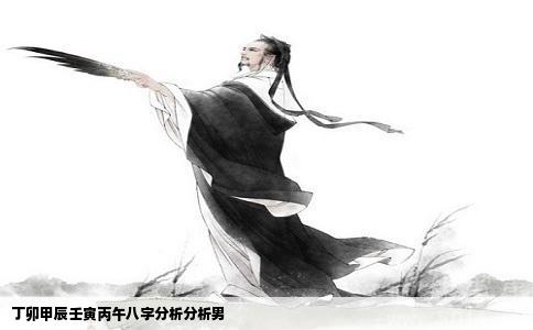 丁卯甲辰壬寅丙午八字分析分析男