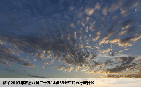孩子2007年农历八月二十九14点55分生的五行缺什么