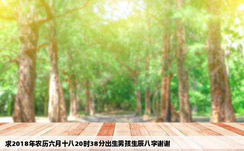 求2018年农历六月十八20时38分出生男孩生辰八字谢谢