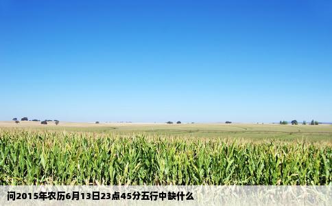 问2015年农历6月13日23点45分五行中缺什么