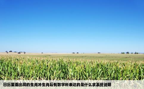 日历里面出现的生肖冲生肖后有数字所表达的是什么求系统说明
