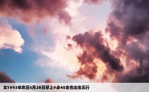 女1993年农历5月28日早上9点40左右出生五行