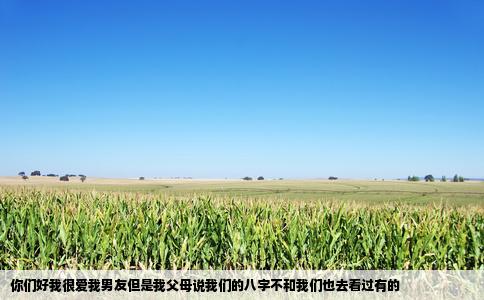 你们好我很爱我男友但是我父母说我们的八字不和我们也去看过有的
