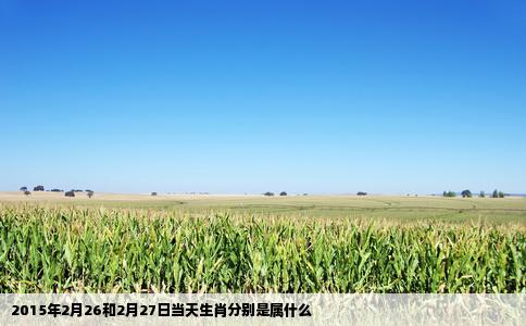 2015年2月26和2月27日当天生肖分别是属什么