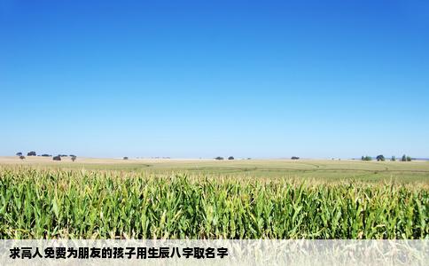 求高人免费为朋友的孩子用生辰八字取名字