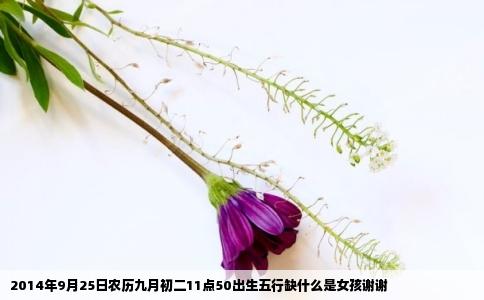 2014年9月25日农历九月初二11点50出生五行缺什么是女孩谢谢