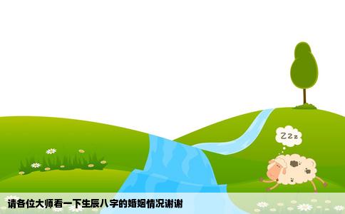 请各位大师看一下生辰八字的婚姻情况谢谢
