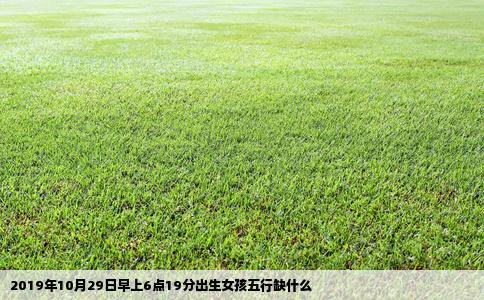 2019年10月29日早上6点19分出生女孩五行缺什么