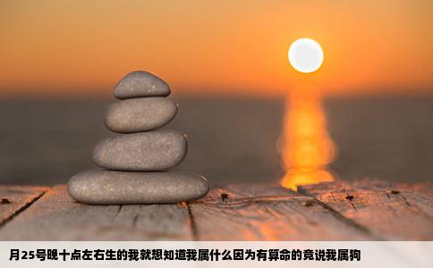 月25号晚十点左右生的我就想知道我属什么因为有算命的竟说我属狗