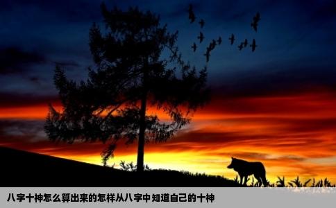 八字十神怎么算出来的怎样从八字中知道自己的十神
