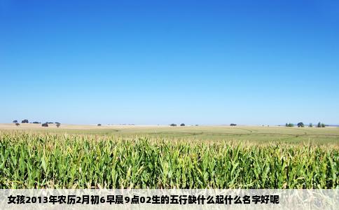 女孩2013年农历2月初6早晨9点02生的五行缺什么起什么名字好呢