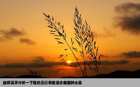 麻烦高手分析一下我的五行看我适合戴哪种水晶