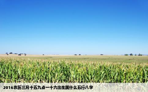2016农历三月十五九点一十六出生属什么五行八字