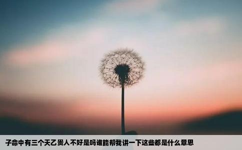 子命中有三个天乙贵人不好是吗谁能帮我讲一下这些都是什么意思