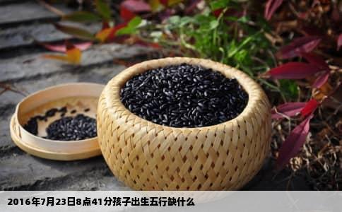 2016年7月23日8点41分孩子出生五行缺什么