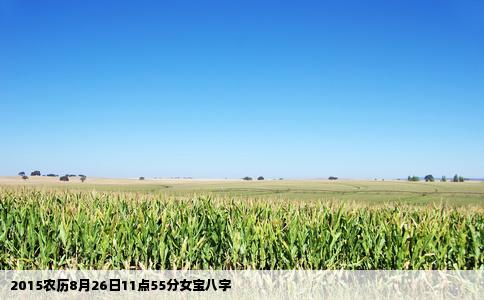 2015农历8月26日11点55分女宝八字