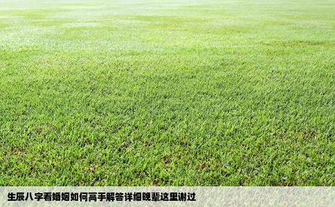 生辰八字看婚姻如何高手解答详细晚辈这里谢过