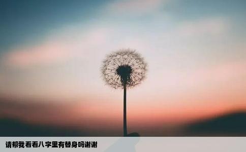 请帮我看看八字里有替身吗谢谢