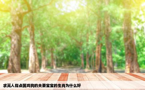 求高人指点属鸡狗的夫妻宝宝的生肖为什么好