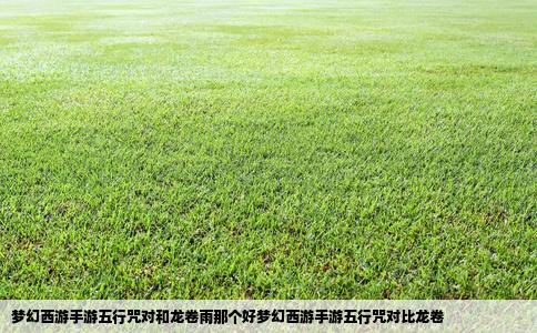 梦幻西游手游五行咒对和龙卷雨那个好梦幻西游手游五行咒对比龙卷