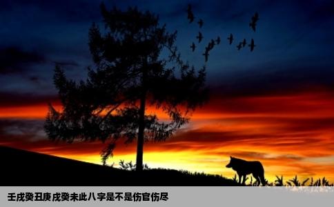 壬戌癸丑庚戌癸未此八字是不是伤官伤尽