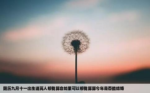 阴历九月十一出生请高人帮我算命如果可以帮我算算今年是否能结婚