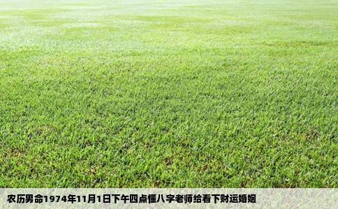 农历男命1974年11月1日下午四点懂八字老师给看下财运婚姻