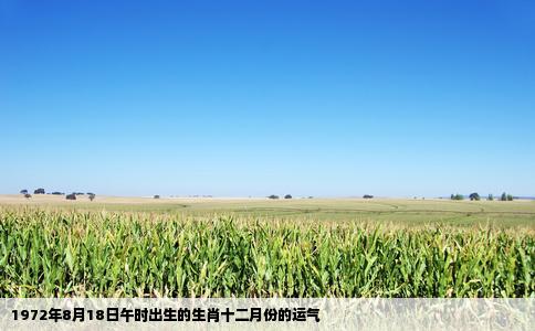 1972年8月18日午时出生的生肖十二月份的运气