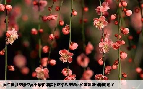 丙午寅卯空哪位高手帮忙详解下这个八字财运和婚姻如何啊谢谢了