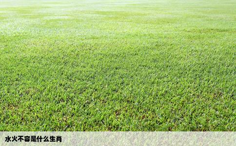 水火不容是什么生肖