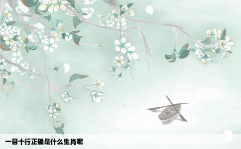 一目十行正确是什么生肖呢