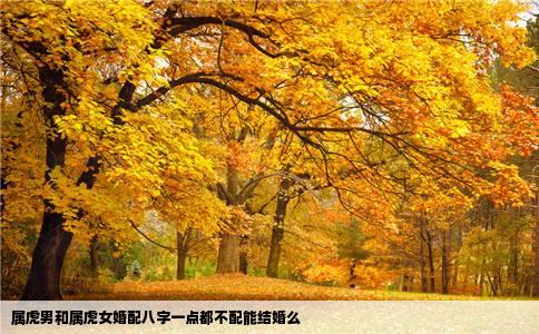 属虎男和属虎女婚配八字一点都不配能结婚么
