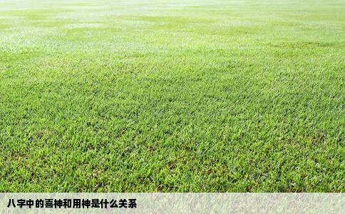 八字中的喜神和用神是什么关系