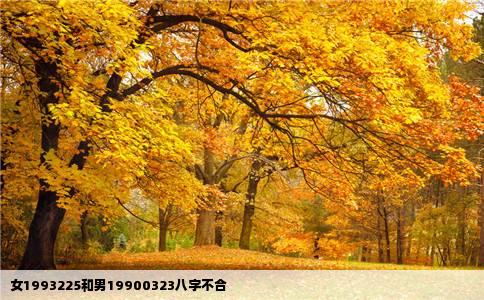 女1993225和男19900323八字不合