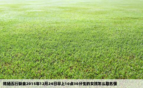 姓杨五行缺金2015年12月24日早上10点30分生的女孩怎么取名懂